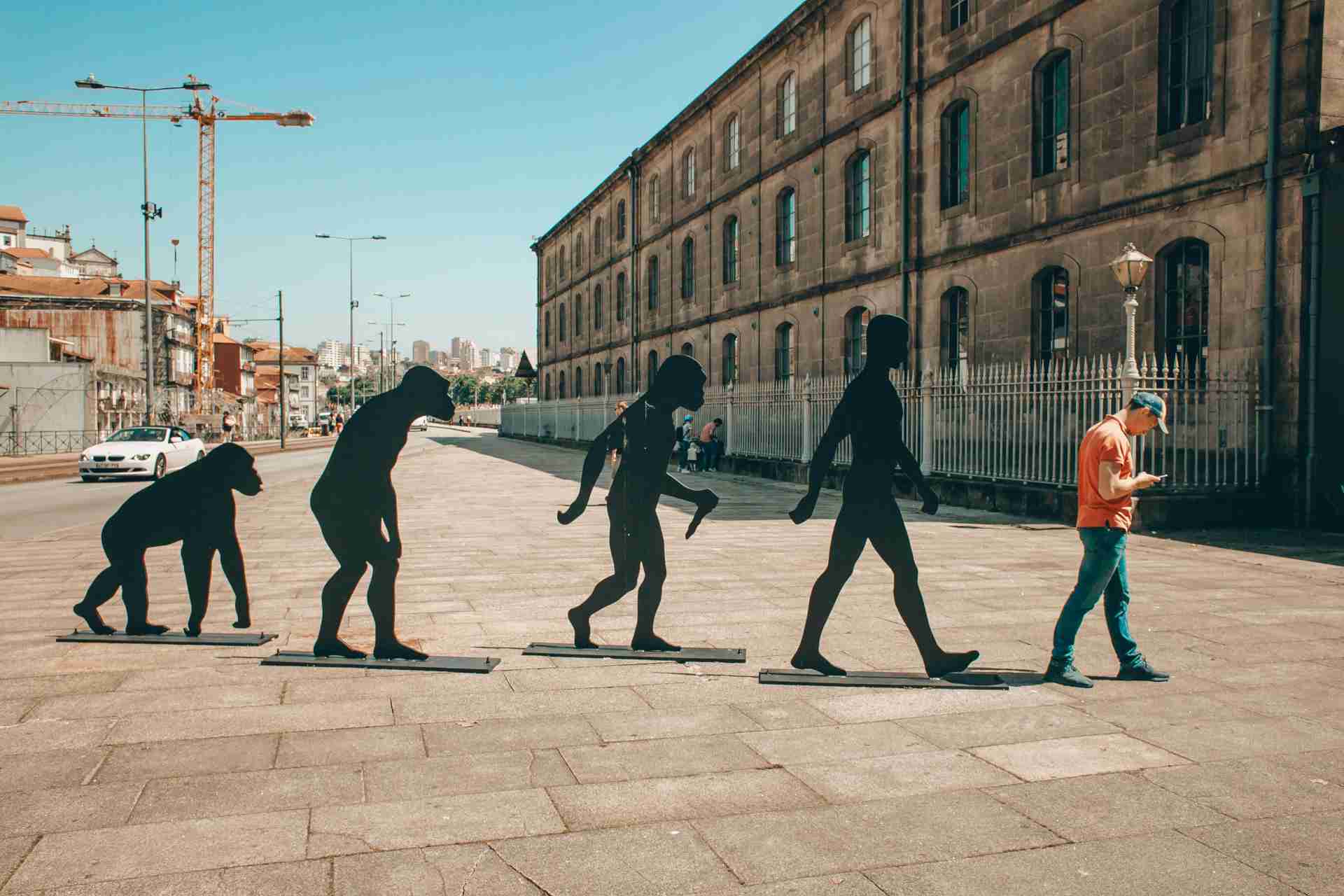A reenactment of the well-known 'Evolution of Man' meme with life-sized silhouette cutouts, led by a real person looking at their phone